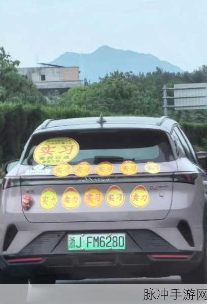 画线停车v1.1.0安卓版,智趣停车挑战,等你来驾驭!