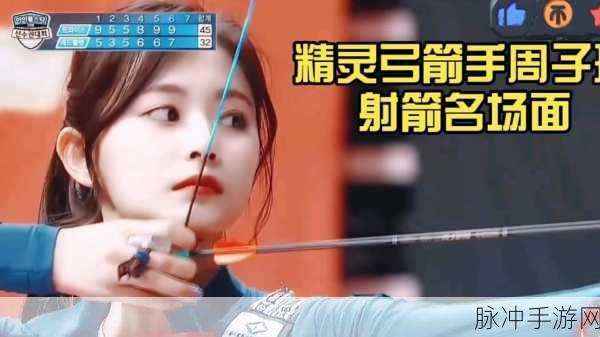 单机射箭新体验，弓箭手大作战无需网络畅享射击乐趣