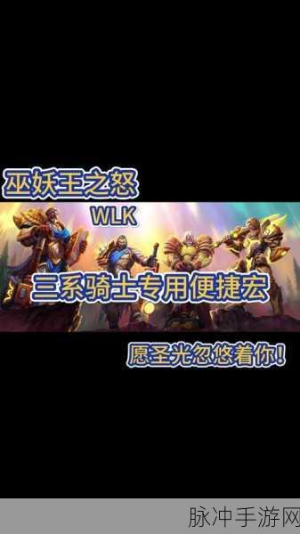 惩戒骑雕文选择:1. 《惩戒骑必备雕文解析与应用技巧