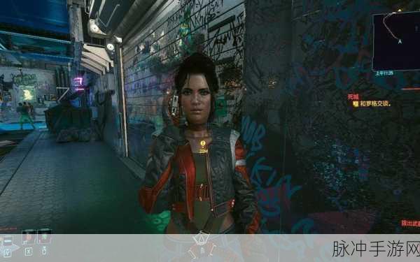 赛博朋克2077天空过客 帕南一起:当然可以!以下是关于《赛博朋克2077:天空过客》与帕南相关的新标题建议: