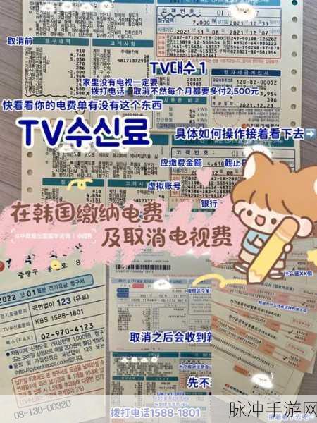 韩国三色电费2024免费吗:1. 2024年韩国三色电费政策全解析
