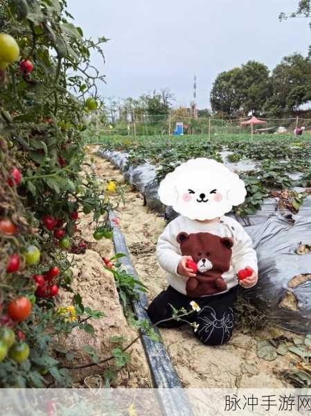 草莓破译版:1. 《草莓破译版:解锁甜蜜秘密的全新篇章