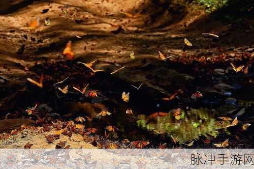 伊甸园秘 密入口:1. 《探寻伊甸园秘境:入口背后的传说与秘密