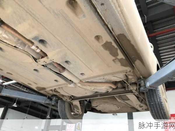 2021卡1卡2卡3老狼,摄影：1. 《老狼的摄影旅程：镜头下的岁月印记