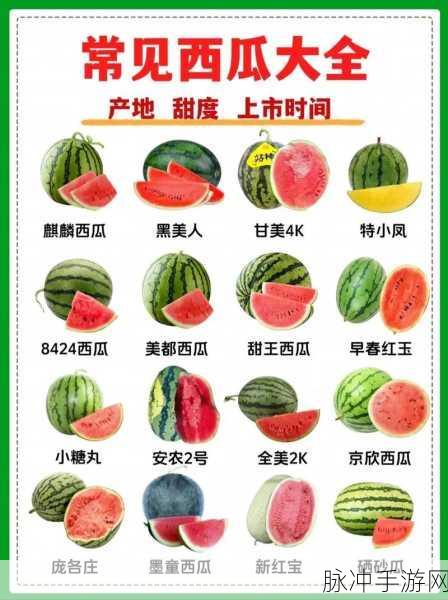 朝阳群众今日吃瓜必吃大瓜:1. 朝阳群众今日热议:吃瓜背后的真相大曝光!