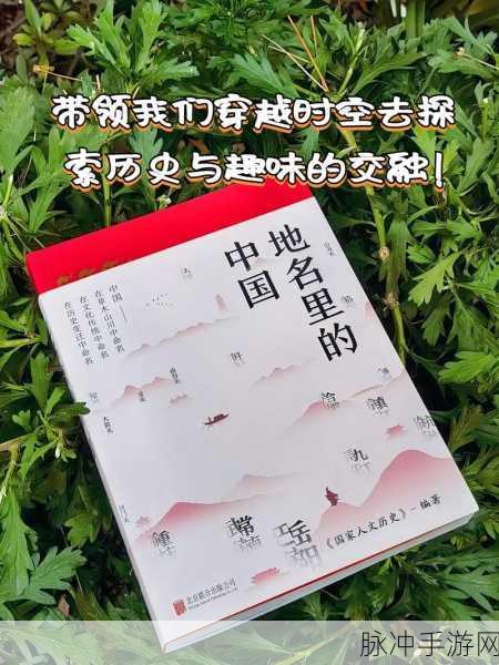 17c一起糟国:1. 17c一起糟国:探索历史与文化交融的新视角