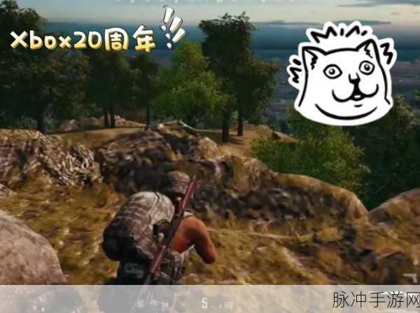 绝地求生有xbox版吗：绝地求生：Xbox版游戏体验与技巧分享