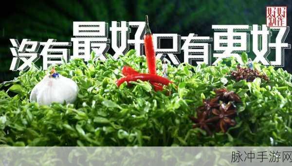 两个男人做酱酱酿酿:1. 两个男人的酱香之旅:探索美味背后的故事