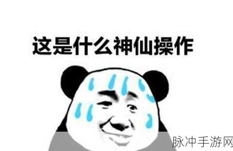 胡桃腿法娴熟脚法在线不下载：当然可以，以下是一些基于“胡桃腿法”和“娴熟脚法”的新标题建议：