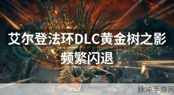 艾尔登法环闪退：1. 《艾尔登法环闪退问题的解决方案与技巧