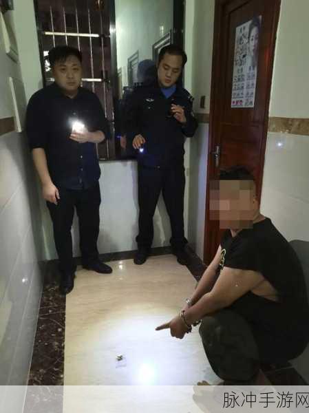 家用摄像头被盗600部：1. 家用摄像头失窃事件：600部设备如何被盗？