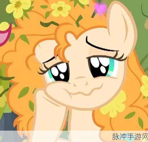 皇家小马宝莉,萌宠养成新纪元,下载开启梦幻之旅
