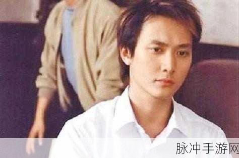 郑元畅感情史：郑元畅情感历程：从校园初恋到成熟心灵的蜕变之路