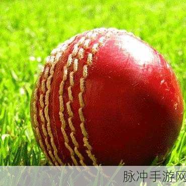 草莓丝瓜巨人:1. 《草莓丝瓜巨人的奇幻冒险之旅