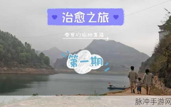 青蛙岛,探索温馨治愈之旅,开启收集养成新篇章