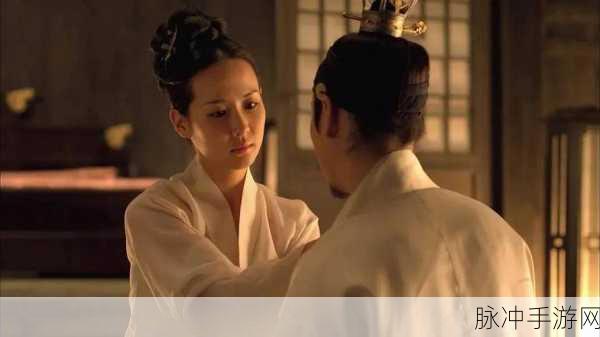 2008金银梅:1. 迷雾中的金银梅:情欲与权力的交织