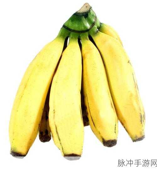 81香蕉视频:当然可以!以下是一些基于“81香蕉视频”的新标题建议: