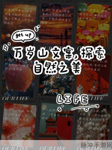 一起艹.:1. 在艹的世界中探索自然之美