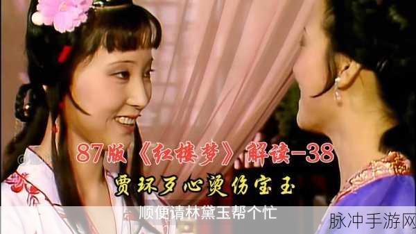 贾宝玉大战王熙凤第六回概括:1. 贾宝玉与王熙凤的智斗篇章