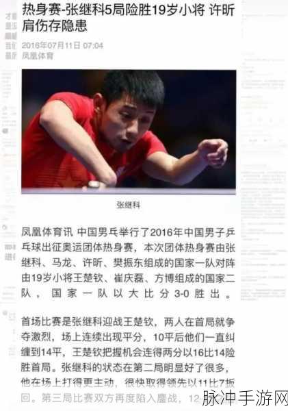 王楚钦舅是谁:王楚钦舅是谁?揭秘乒坛背后的家族故事
