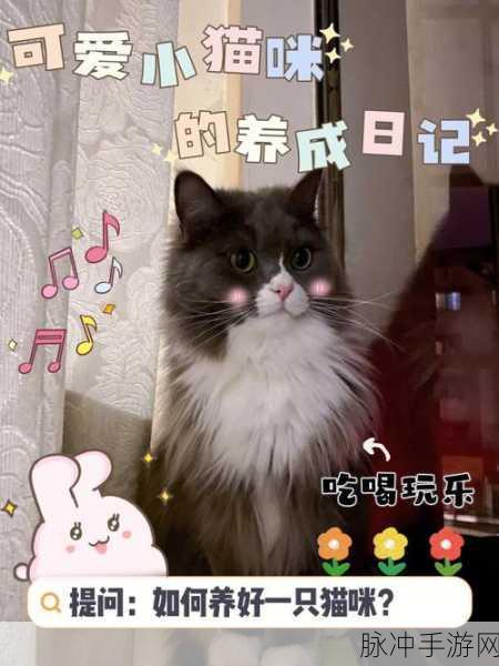 亲吻猫咪,萌化心灵的休闲养成之旅,等你来下载