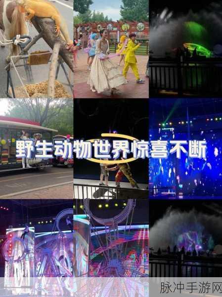 萌翻天的动物世界,拼图乐趣尽在指尖——超级可爱的动物拼图安卓版等你来挑战
