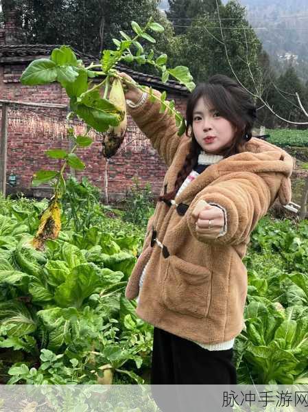 光腿拔萝卜光腿拔萝卜:1. 光腿拔萝卜:一场田园趣味的大冒险