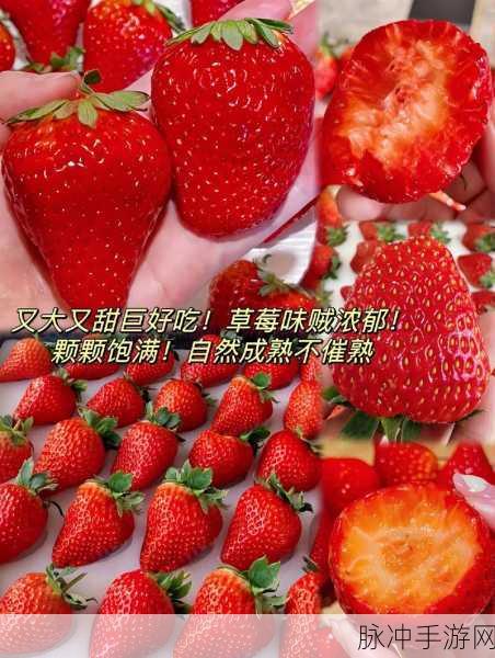 草莓视频有容乃大:1. 草莓视频:包容多样,展现无限可能
