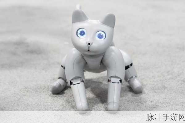 机器人与猫咪的奇妙邂逅,当机器人爱上猫去广告版深度探索