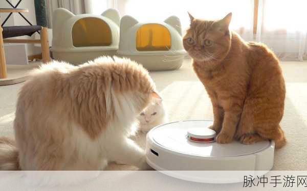 机器人与猫咪的奇妙邂逅,当机器人爱上猫去广告版深度探索