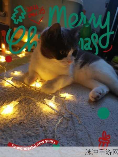 喵趣横生!吃星星的猫咪1.0.1安卓版萌动上线