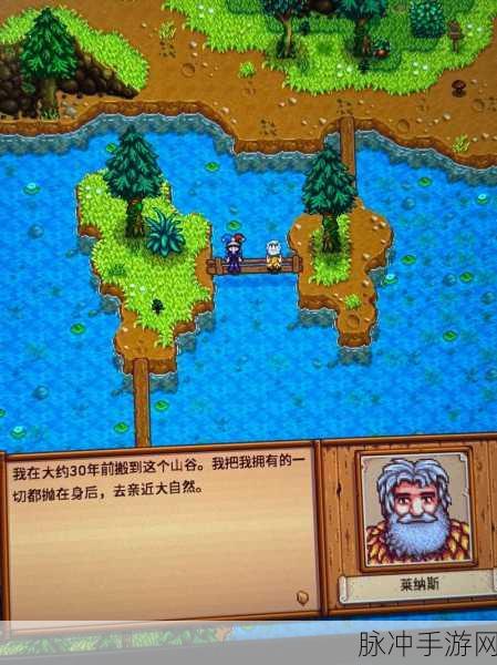 星露谷物语数数蓝色版，解锁田园牧歌的休闲经营之旅