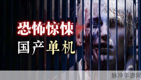 探索恐怖深渊,揭秘人皮鼓之谜,国产恐怖解密游戏震撼来袭