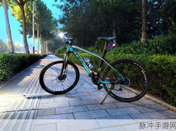 速降王者震撼来袭,自行车竞速新体验等你解锁