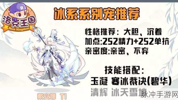 洛克王国冰天雪地技能石获取全攻略