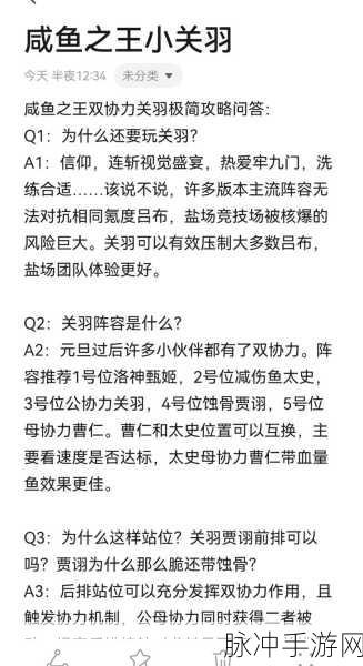 咸鱼翻身战群雄，关羽关卡全攻略——技巧在手，难关无忧