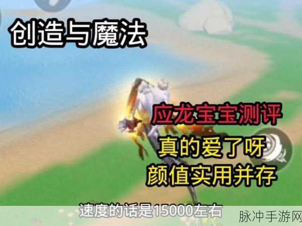 探寻创造与魔法希卡利训龟者的神秘踪迹