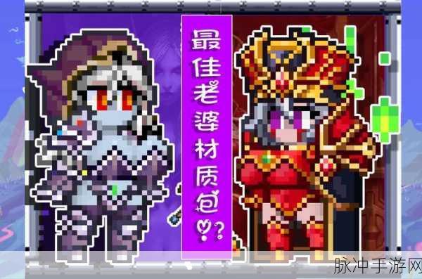 泰拉瑞亚雨衣，防御与时尚并存的冒险神器