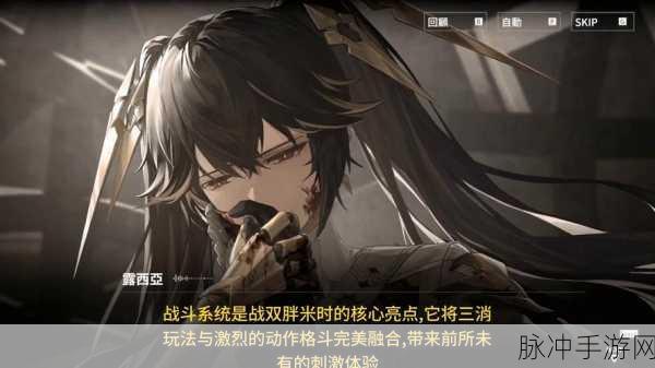 战双帕弥什尼尔队升阶技能全览,深度剖析与实战策略