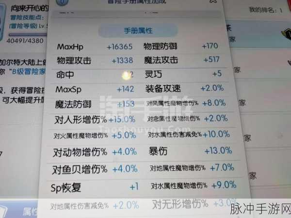 仙境传说RO版刺客装备精选指南