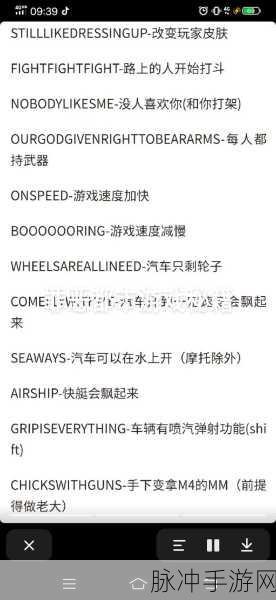 NFS文件共享深度探索,手游玩家性能优化秘籍