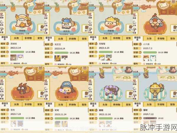 动物餐厅攻略,轻松掌握信件与物品摆放技巧