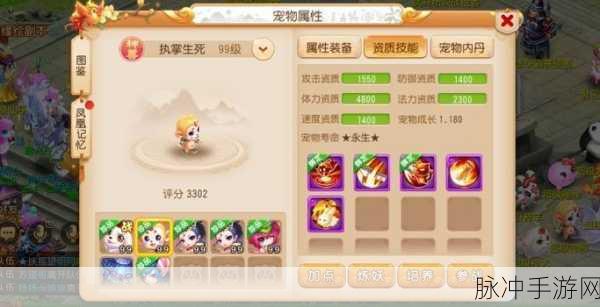 梦幻西游手游，揭秘萌宠隐藏作用，打造你的得力伙伴