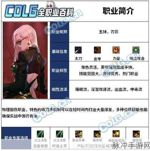 DNF游戏中哪个角色最适合穿皮甲?深度剖析与角色推荐