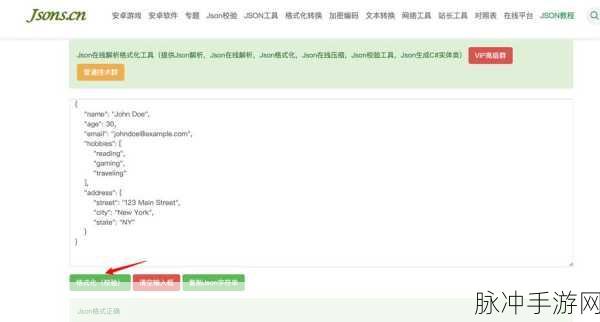 解锁游戏数据新姿势,JSON格式化打造专属模型属性