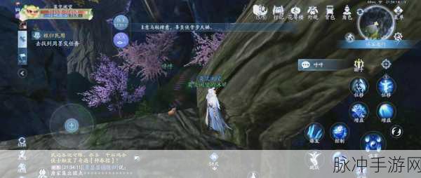 梦幻西游手游,原耽藏宝阁秘境追踪,解锁宝藏挖掘全攻略