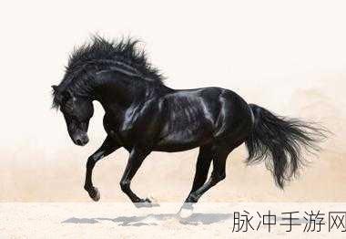 年底黑马美图公司闪耀登场,Sora技术期货之谜引发热议