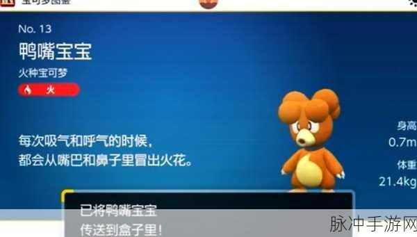 宝可梦大探险,鸭嘴火兽培养全攻略,揭秘其战斗潜力