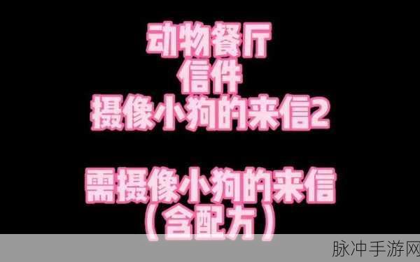 动物餐厅揭秘,摄像小狗来信背后的解锁秘密