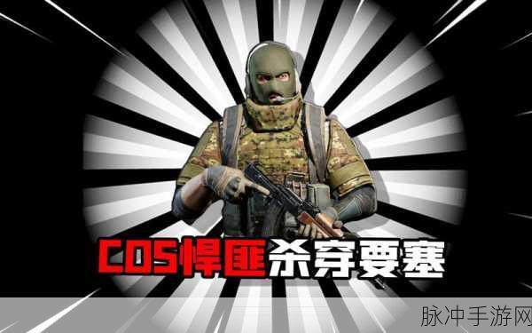 暗区突围悍匪面罩获取全攻略